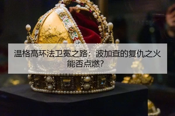 wen-ge-gao-huan-fa-wei-mian-zhi-lu-bo-jia-cha-de-fu-chou-zhi-huo-neng-fou-dian-ran-2-506.jpg