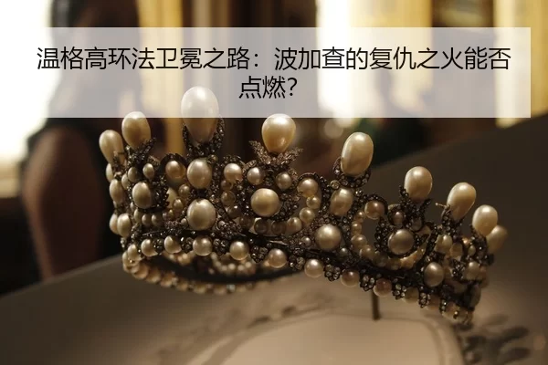 wen-ge-gao-huan-fa-wei-mian-zhi-lu-bo-jia-cha-de-fu-chou-zhi-huo-neng-fou-dian-ran-3-380.jpg