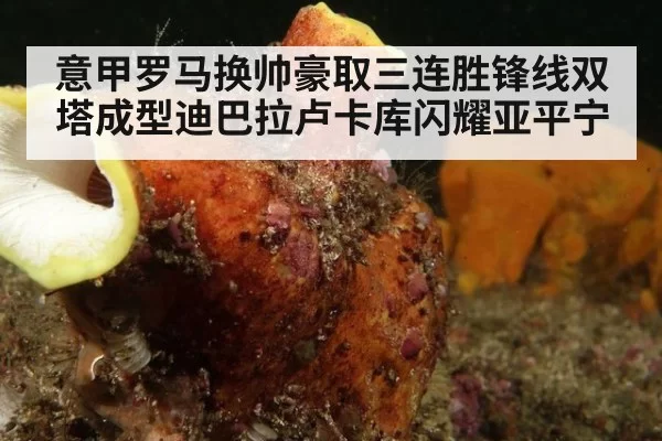 意甲罗马换帅豪取三连胜锋线双塔成型迪巴拉卢卡库闪耀亚平宁